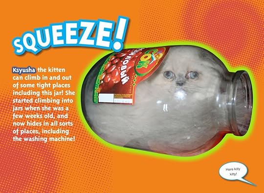 Ripleys-Cat-Jar
