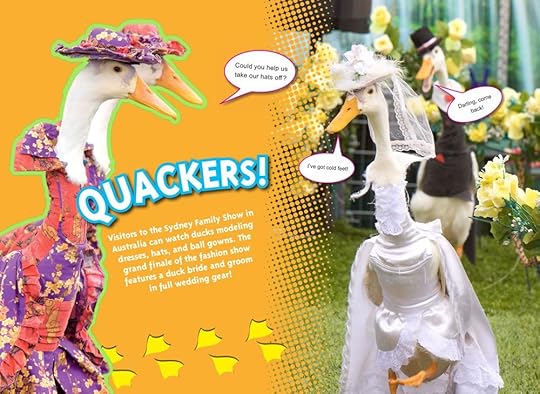 Ripleys-Duck-Models