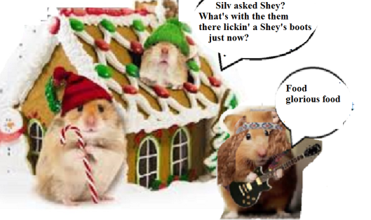 zmed-bbbbbbbubb290909