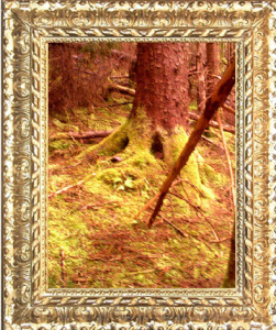 My beautiful picture