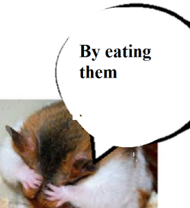 zdickensnsnnnsnsfdnfbdsnfbdnfbdnfbdnfbdnf