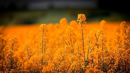 Indie Author Weekly Roundup by Frances Caballo