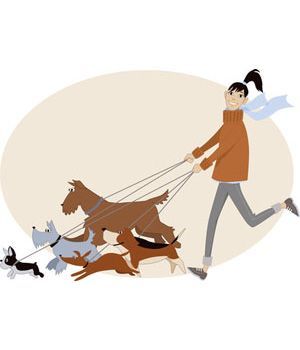 dog walker walking five dogs on leash. Or maybe the five dogs are…: 