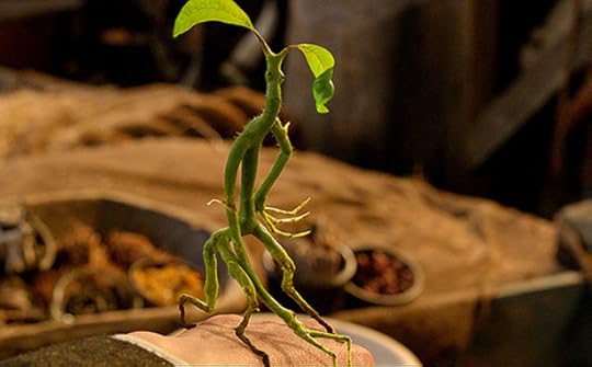 Fantastic Beasts Bowtruckle
