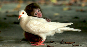hugs