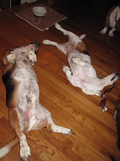 TIffin and Annabelle