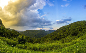WV aug 2016