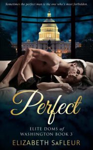 Perfect-cover_SaFleur_-640x1024