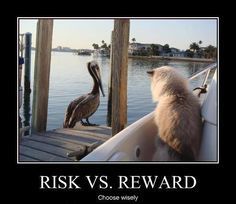 risk reward