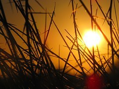 sunset-142186__180