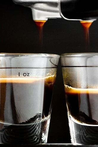 Russian Escorts Plantation