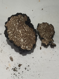 Truffles from Orange, 180816