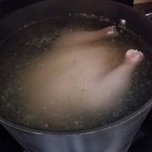 Place chicken in soup pot