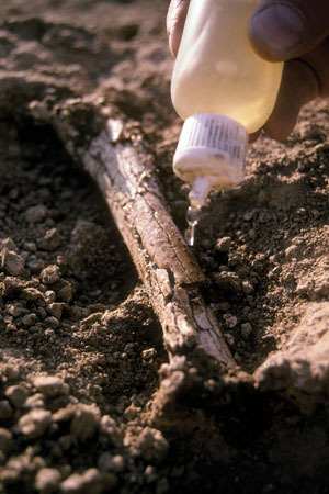  photo 50B9CA9D-835E-4E54-B10D-3CC3B728FB37.jpg