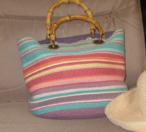 purse project summer 01