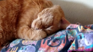 IMG_20160413_133338004