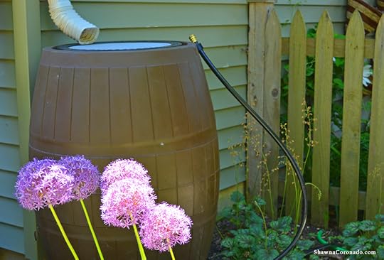 Deluxe Rain Barrel in Garden Photo