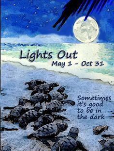 lightsout