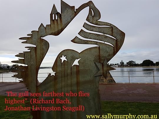 seagull