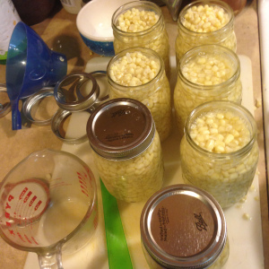 corn