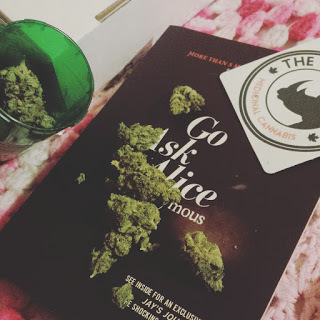 go ask alice book review by shelby anonymous