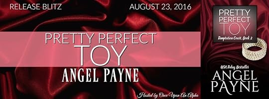 Pretty Perfect Toy RB Banner