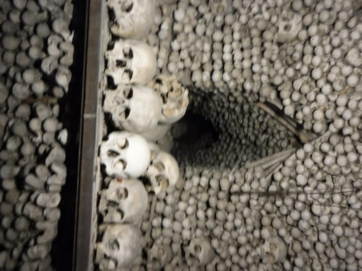 Whole lotta bones