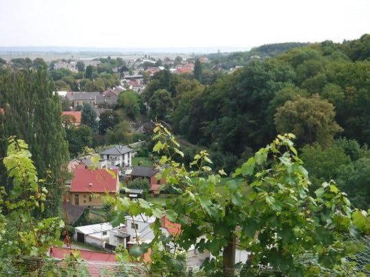 The view from the Church of St. Barbara
