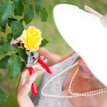 rosie gardening