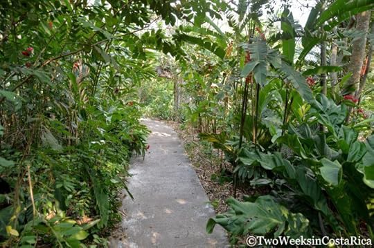 Costa Rica's Botanical Orchid Garden