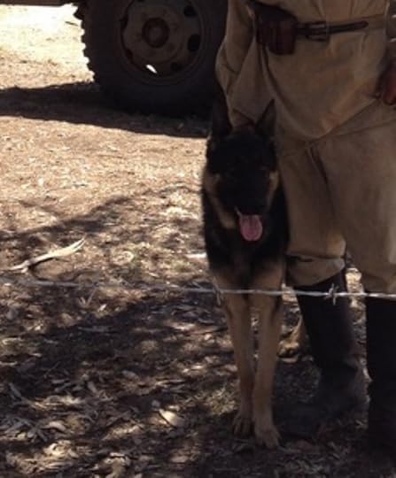  photo 4ca81049-5576-44ac-b213-6a9bf73e2e8e_zpsbwrmnojq.jpg