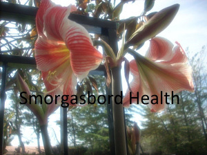 smorgasbord health