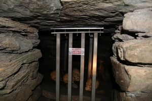 IMG_1037