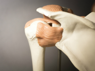 Tendon Strength Final
