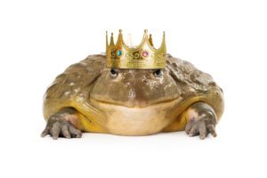 A large toad wearing a prince crown