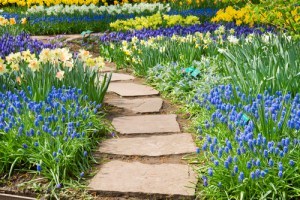shutterstock_156687923