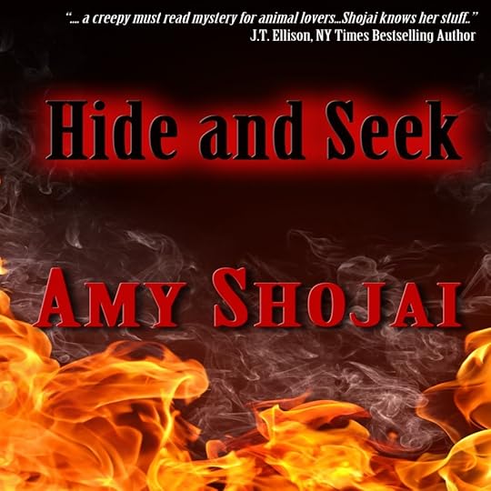 audio of Hide And Seek thriller