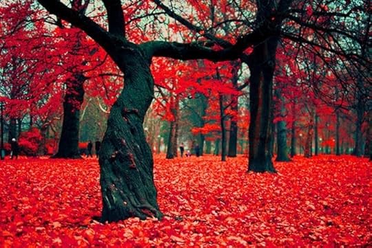  photo red trees_zpsolqiqdgi.jpg