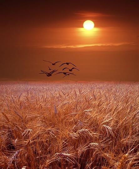 Shades of Autumn