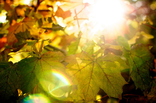 Autumn2
