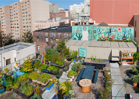 Photo: How much food can cities produce?