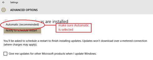 update auto is on