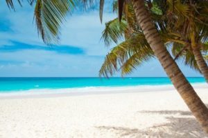tropical_paradise_204378