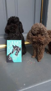 Sadie and Violet and book