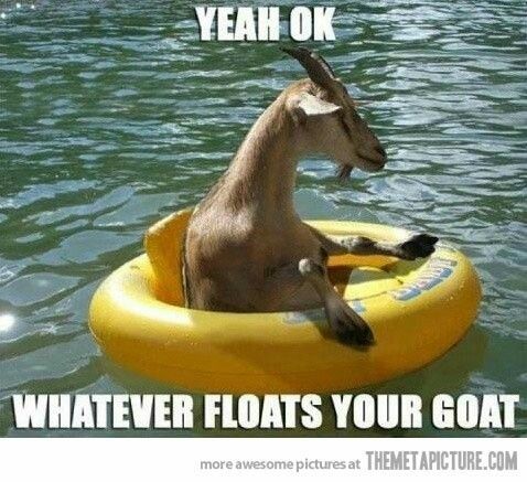  photo floatsyourgoat_zps1b4nlcob.jpg