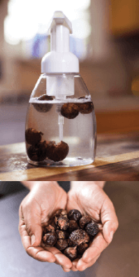 Photo: How to make dish soap