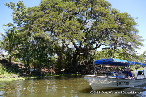 Lake Nicaragua Preview