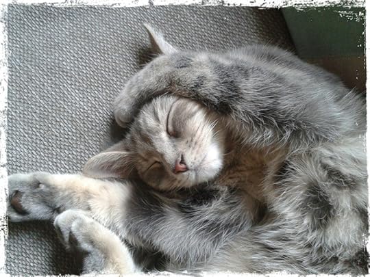 Zelda can't believe the summer holidays are over, either.