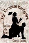 Viscountess Investigates Cover