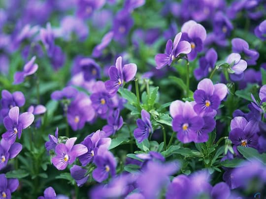 ?????????????????????????????????????????????